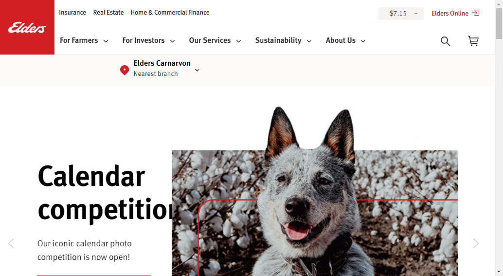 Responsive image